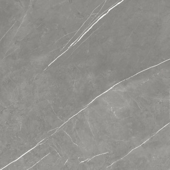 Керамогранит 610010002718 Forte dei Marmi Elegant Grey Rett 80x80