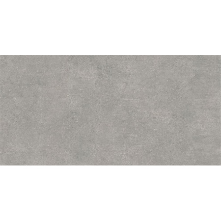 Керамогранит K945778R0001VTE0 Newcon Серебристо-серый 60x120
