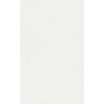 Плитка 6304 Петергоф белый 25х40