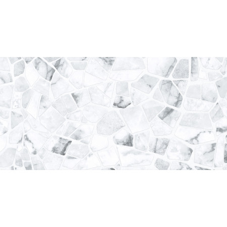 Плитка WT9SML25 Smalta Chip 249x500