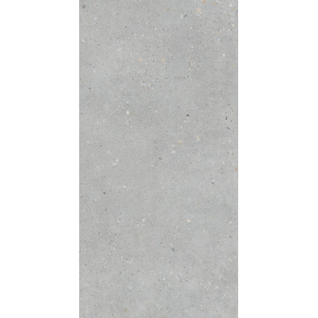 Керамогранит K947893R0001VTER Серый Матовый R10A Ректификат 60x120