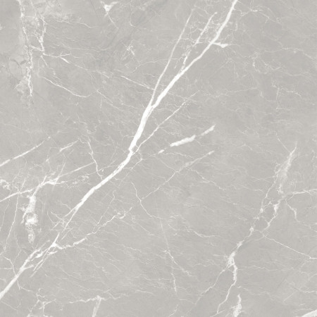 10GCRGCL0064 Керамогранит Carolina_GT Серый 60x60 _ 1\43,2