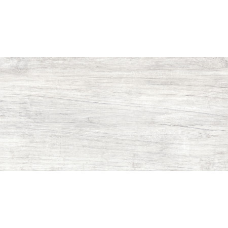 GT223VG Керамогранит Storm_GT светло-сер. 30x60  1\58,32