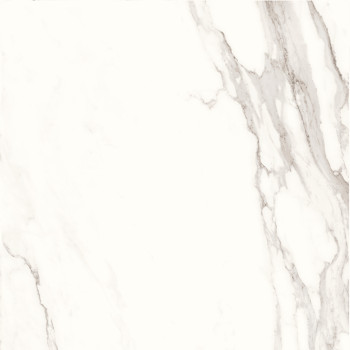 Керамогранит Calacatta Superb полированный 60x60