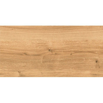 Керамогранит C-WS4O112D Woodhouse коричневый 29,7х59,8