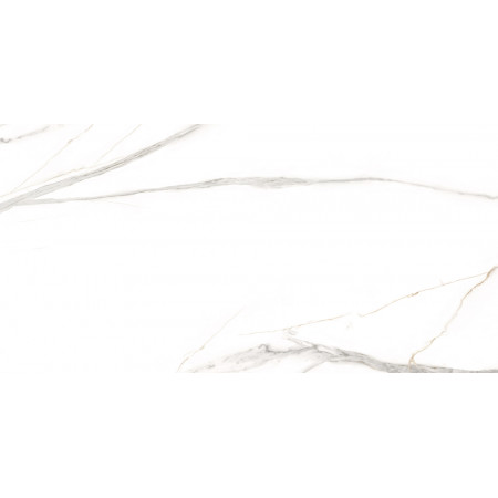 GT197VG Настенная плита Spring_GT Бел. 30x60 _ 1\58,32