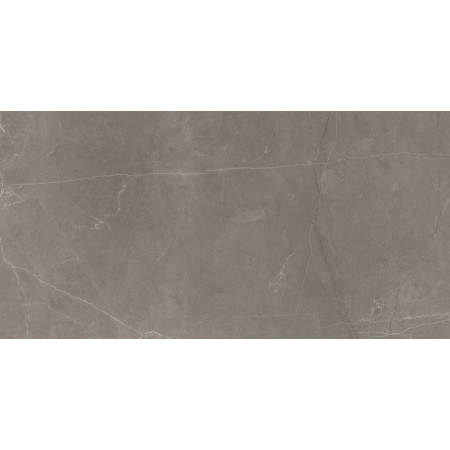 Керамогранит Splash Grey серый 60х120