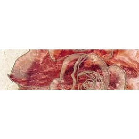 Плитка Бордюр Illyria flowers mix 7,5х25