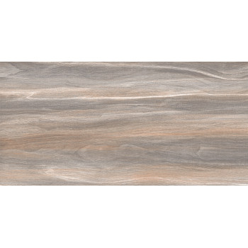 Плитка WT9ESR21 Esprit Wood 250*500*9