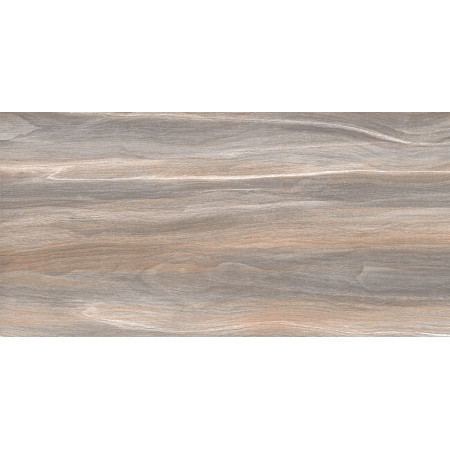 Плитка WT9ESR21 Esprit Wood 250*500*9