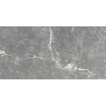 GT99VG Плитка облиц. Capella GT Сер. 50*25 _ 1 \74,25