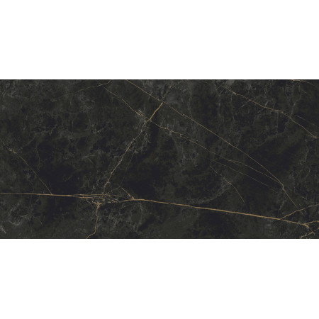 Керамогранит Granite SANDRA Black Olive / Гранит Сандра черно-оливковый LLR 120x60