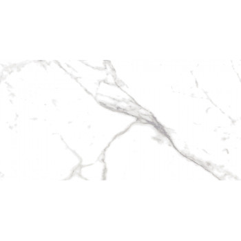 Плитка 16796 Marmo Белый 59,8*29,8
