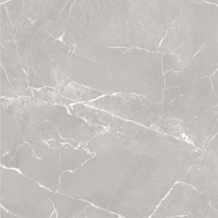 10GCRGCL0064 Керамогранит Carolina_GT Серый 60x60 _ 1\43,2