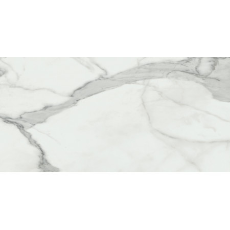 Керамогранит Invictus Natural Rectificado 60x120