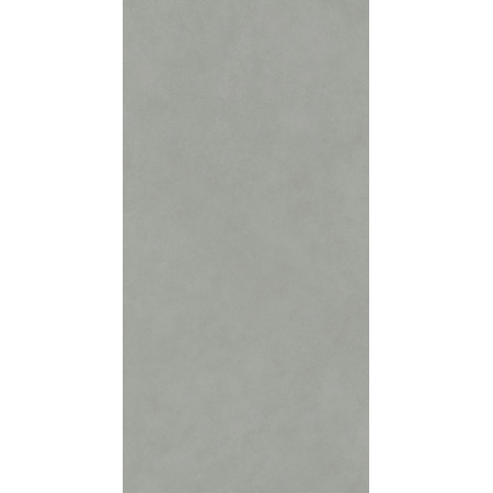 Керамогранит DD590900R Про Чементо серый матовый обрезной 119,5x238,5