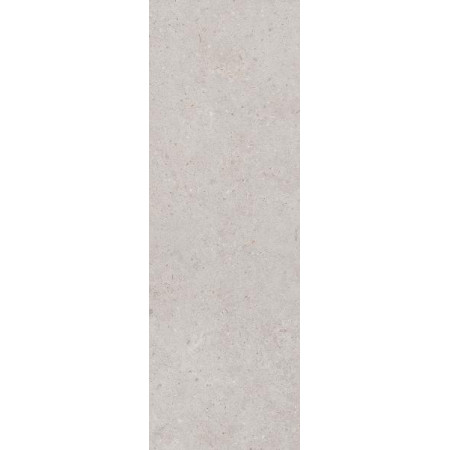 Плитка 14053R Риккарди серый светлый матовый обрезной 40x120