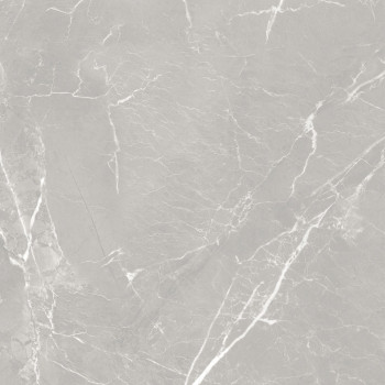 10GCRGCL0064 Керамогранит Carolina_GT Серый 60x60 _ 1\43,2