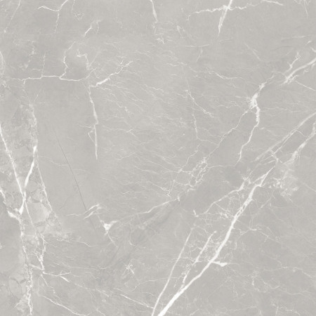 10GCRGCL0064 Керамогранит Carolina_GT Серый 60x60 _ 1\43,2