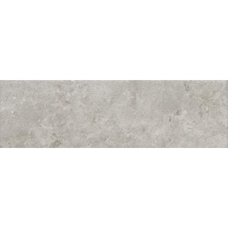 Плитка 9048 Борго серый светлый матовый 8,5x28,5