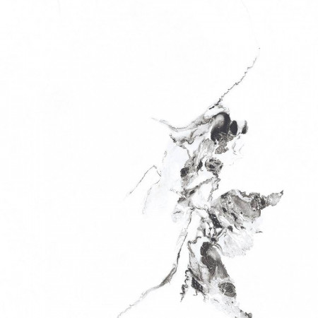 Керамогранит PR129 Videl Bianco polished 600x600x9