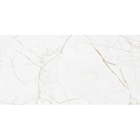 GT226VG Керамогранит Antares_GT Бел. 30x60  1\58,32