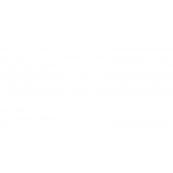 Плитка WT9ANQ00 Antique White 249*500*7.5