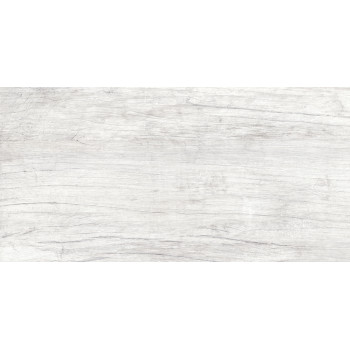 GT223VG Керамогранит Storm_GT светло-сер. 30x60  1\58,32