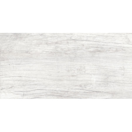 GT223VG Керамогранит Storm_GT светло-сер. 30x60  1\58,32