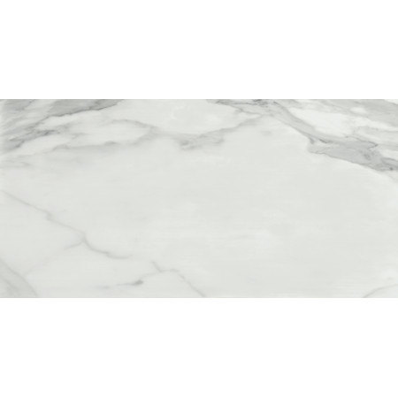 Керамогранит Invictus Natural Rectificado 60x120