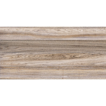 Плитка TWU09DBL404 Dublin 249*500*7.5