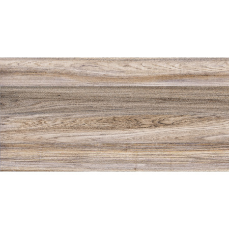 Плитка TWU09DBL404 Dublin 249*500*7.5