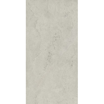 Керамогранит 610010002343 Metropolis Absolut Silver Nat Rett 80x160