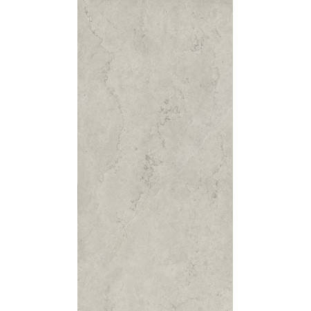 Керамогранит 610010002343 Metropolis Absolut Silver Nat Rett 80x160