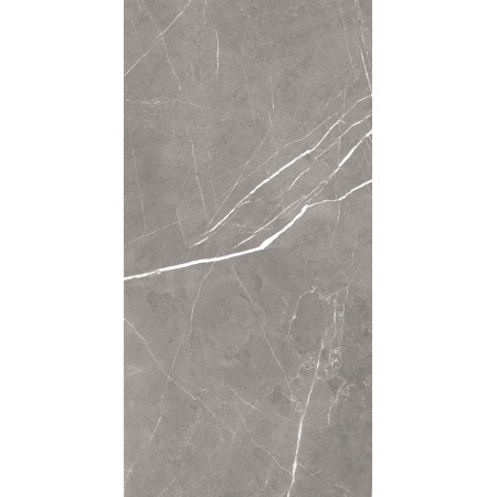 GT120603001MCR Плитка грес глаз. Encanto_GT Серый 60*120 карвинг_ 1 \43,2