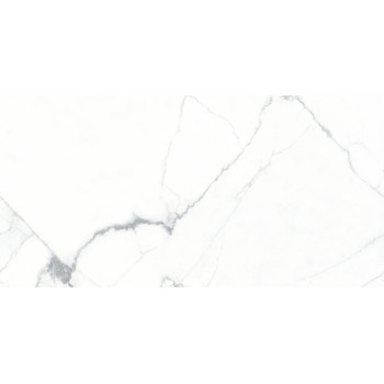 Керамогранит Ogma Полированный 80x160