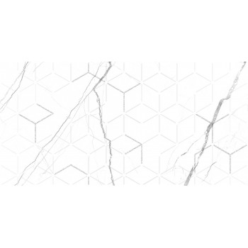 GT124VG Декор кер. Siluet GT Бел. 50*25 _ 1 \7