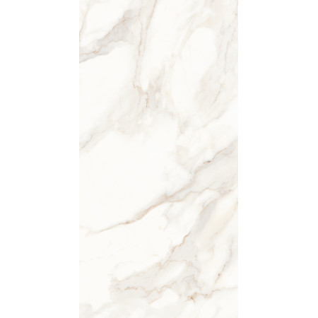 Керамогранит MPL-058622 Calacatta Satin 60x120