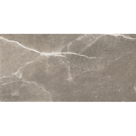 GT122VG Плитка облиц. Siluet GT Кор. 50*25 _ 1 \74,25