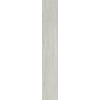 Керамогранит BNS212001 Ash 20x120