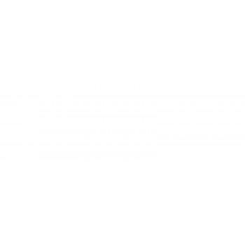 Плитка WT15GRF00R Grafito White 246*740*9,8