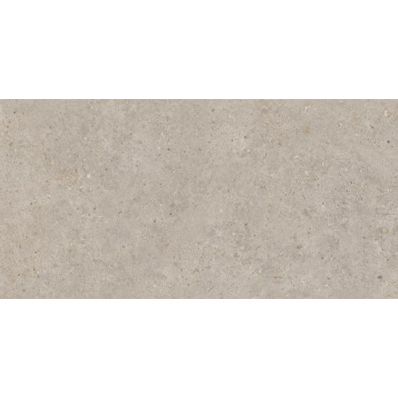 Керамогранит SG540620R Риккарди бежевый матовый обрезной 60х119,5