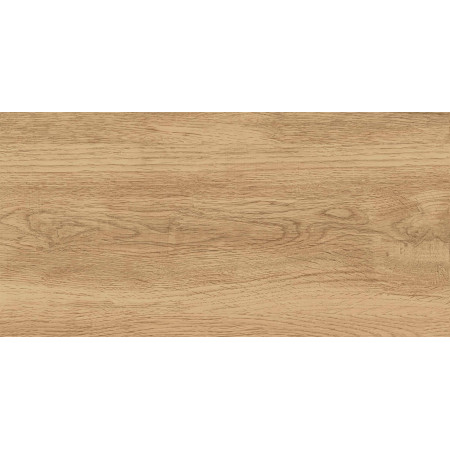 GT220VG Керамогранит Florida_GT Беж. 30x60  1\58,32