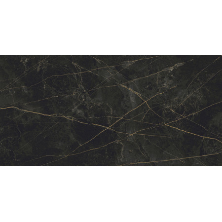 Керамогранит Granite SANDRA Black Olive / Гранит Сандра черно-оливковый LLR 120x60