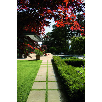 Керамогранит 620090000255 SAND BORDO GRIP 30x60