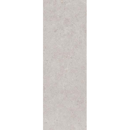 Плитка 14053R Риккарди серый светлый матовый обрезной 40x120