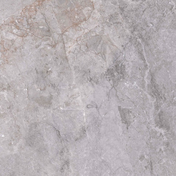 Керамогранит Fior Di bosco Grey 60x60