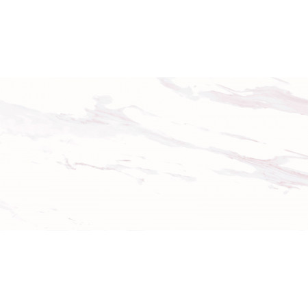 Плитка WT9ETE00 Eterna Light 249*500*7.5