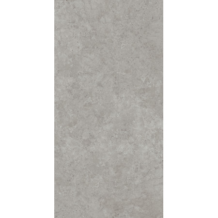 Керамогранит DD590600R Про Лаймстоун АТ серый натуральный обрезной R10 119,5х238,5