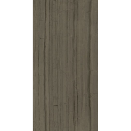 Керамогранит 610010002163 Шарм Эдванс Элегант Браун Рет 80x160